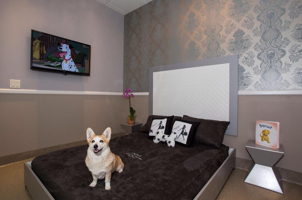 Freer Motel Екстер'єр фото